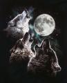 Three Wolf Moon's Avatar